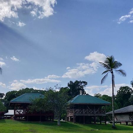 Iwokrama River LodgeMakari エクステリア 写真