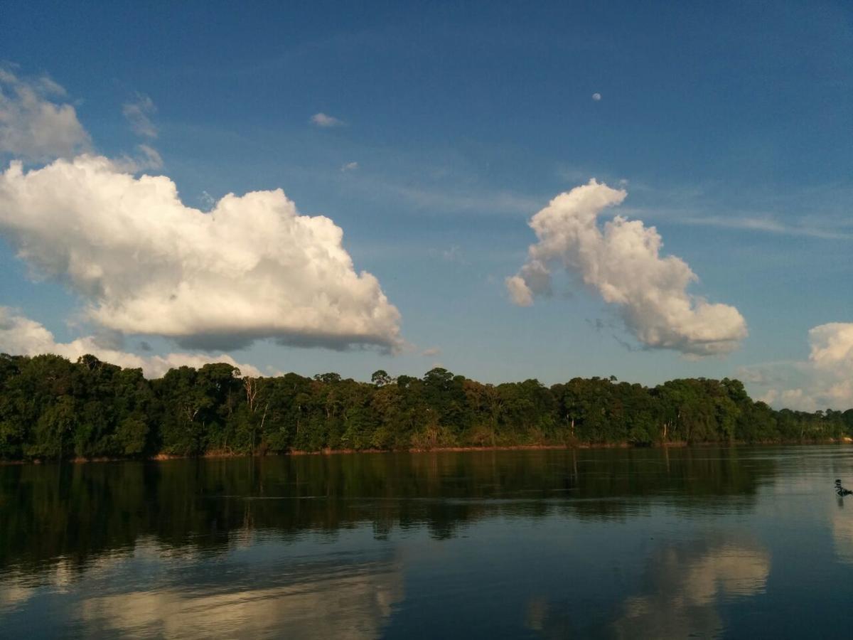 Iwokrama River LodgeMakari エクステリア 写真